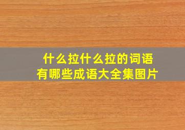 什么拉什么拉的词语有哪些成语大全集图片