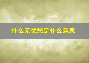 什么无忧愁是什么意思