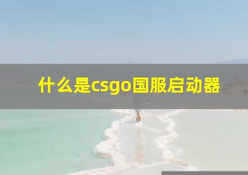 什么是csgo国服启动器