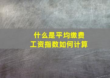 什么是平均缴费工资指数如何计算