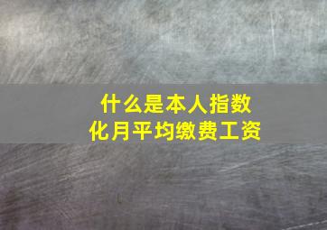 什么是本人指数化月平均缴费工资