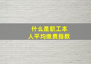 什么是职工本人平均缴费指数