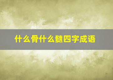 什么骨什么髓四字成语