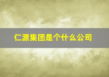 仁源集团是个什么公司