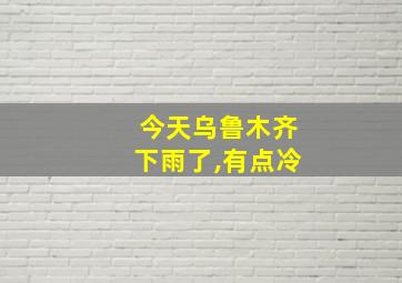 今天乌鲁木齐下雨了,有点冷