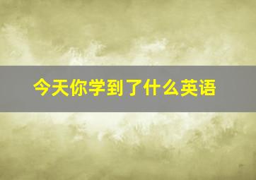 今天你学到了什么英语