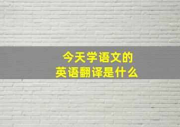 今天学语文的英语翻译是什么