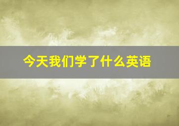 今天我们学了什么英语