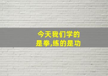 今天我们学的是拳,练的是功