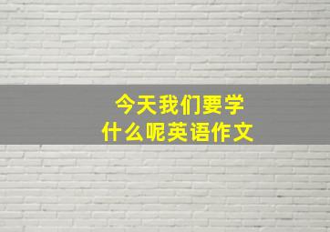 今天我们要学什么呢英语作文