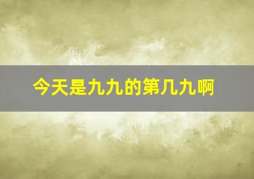 今天是九九的第几九啊