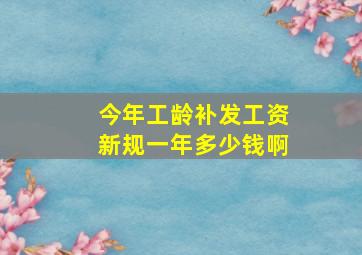 今年工龄补发工资新规一年多少钱啊