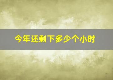 今年还剩下多少个小时