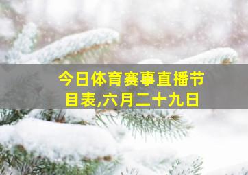 今日体育赛事直播节目表,六月二十九日