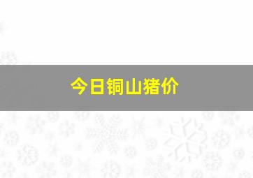 今日铜山猪价