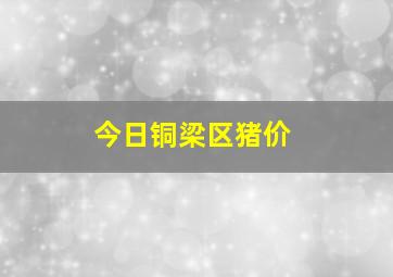 今日铜梁区猪价