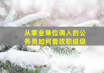 从事业单位调入的公务员如何套改职级级