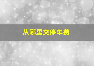 从哪里交停车费