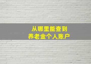 从哪里能查到养老金个人账户