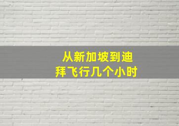 从新加坡到迪拜飞行几个小时