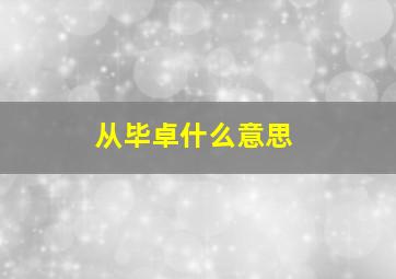 从毕卓什么意思