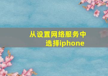 从设置网络服务中选择iphone