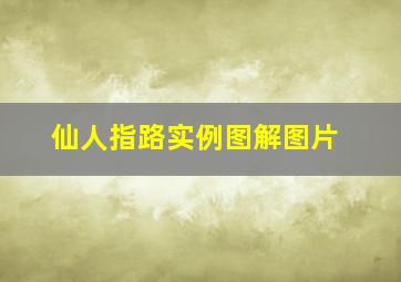 仙人指路实例图解图片