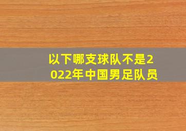 以下哪支球队不是2022年中国男足队员