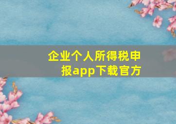 企业个人所得税申报app下载官方