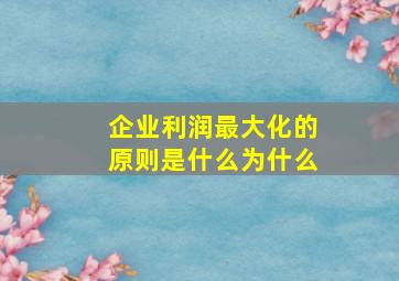 企业利润最大化的原则是什么为什么