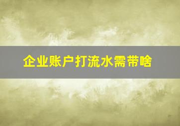 企业账户打流水需带啥