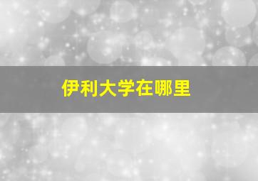 伊利大学在哪里