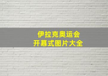 伊拉克奥运会开幕式图片大全