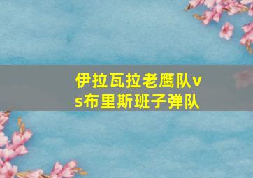 伊拉瓦拉老鹰队vs布里斯班子弹队