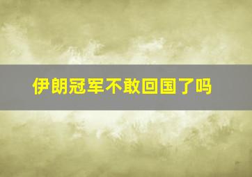 伊朗冠军不敢回国了吗