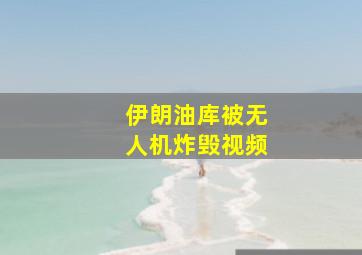 伊朗油库被无人机炸毁视频