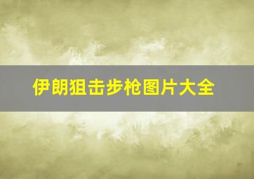 伊朗狙击步枪图片大全