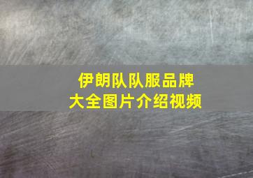 伊朗队队服品牌大全图片介绍视频