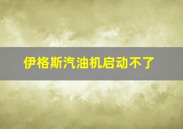 伊格斯汽油机启动不了