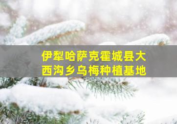 伊犁哈萨克霍城县大西沟乡乌梅种植基地