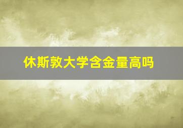 休斯敦大学含金量高吗