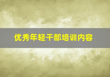 优秀年轻干部培训内容