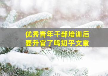 优秀青年干部培训后要升官了吗知乎文章