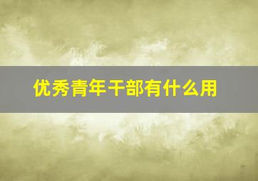 优秀青年干部有什么用