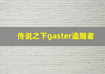 传说之下gaster追随者