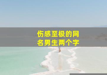 伤感至极的网名男生两个字