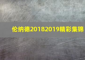 伦纳德20182019精彩集锦