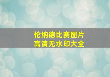 伦纳德比赛图片高清无水印大全