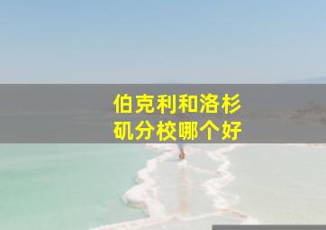 伯克利和洛杉矶分校哪个好