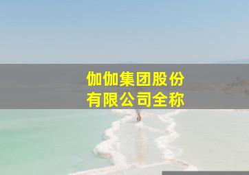 伽伽集团股份有限公司全称